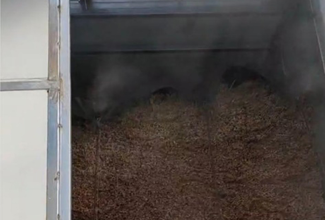 Ningguo Kuntai Bambú agus Adhmad Co, Teo.