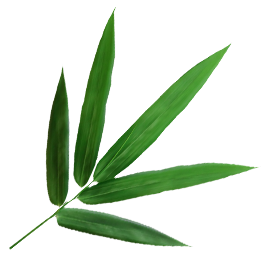 Ningguo Kuntai Bambú agus Adhmad Co, Teo.